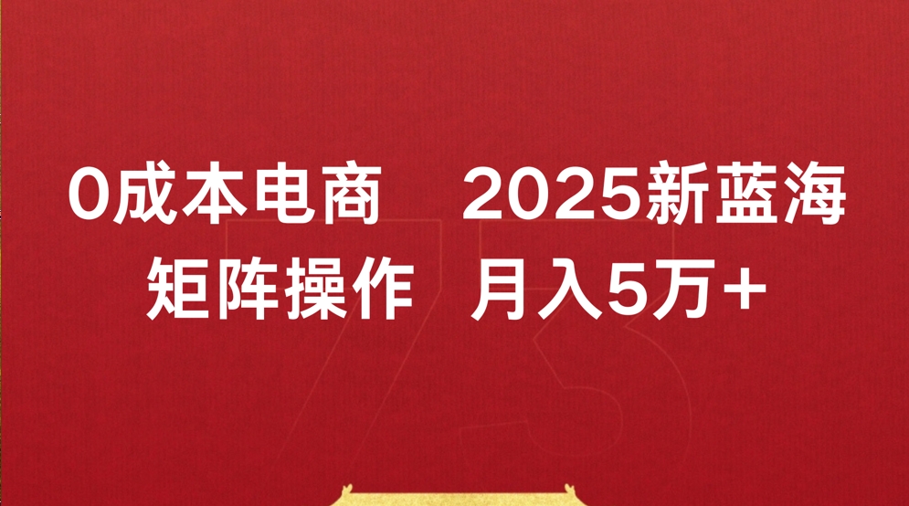 0成本电商2025新蓝海矩阵操作 月入5万+