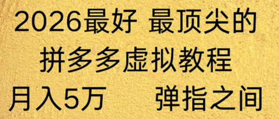 拼多多虚拟店懒人运营法：机器人包办回复发货，月入5W+教程！