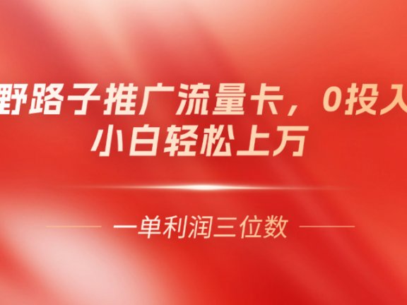 野路子推广流量卡，一单利润上百，0投入，小白月利润上万